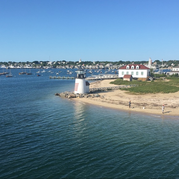 Meet your Posher, Annabel - Picture 1 of 1